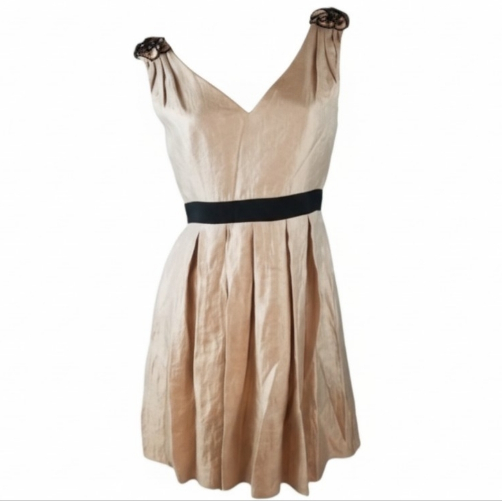 Adrianna Papell Size 8 Champagne Black Cocktail Dress